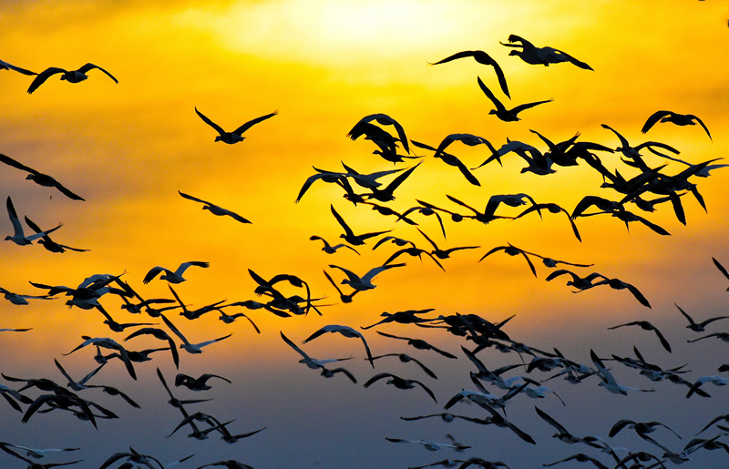 Sunset Launch by Jim Atkinson